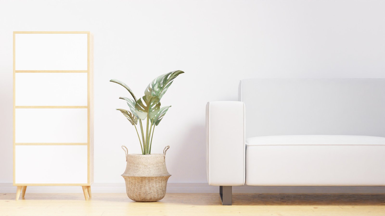 Cozy, tidy living space